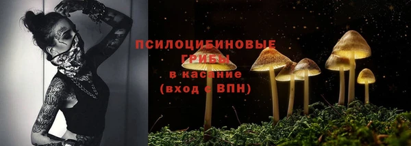 дживик Тутаев