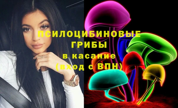 дживик Тутаев