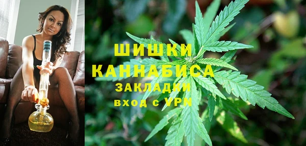 прущие крисы Туринск