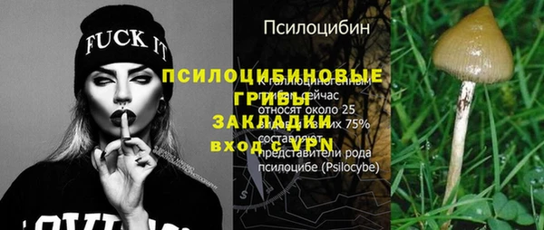 прущие крисы Туринск