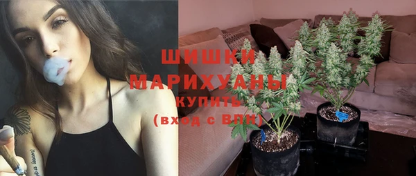 дживик Тутаев